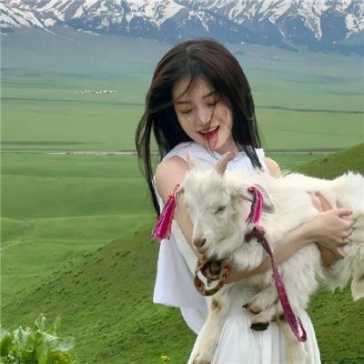 航海王:狂热行动
